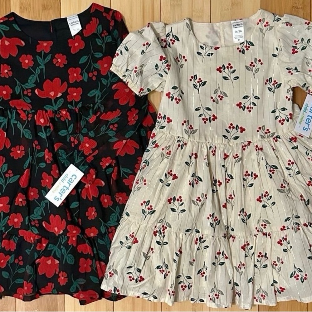 NWT-Carters , Toddler girl Dresses 3T - Picture 1 of 9